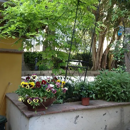 Apartment Tasso Garden *