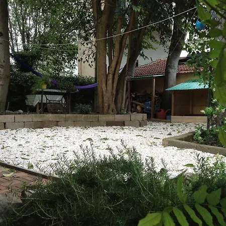 Tasso Garden